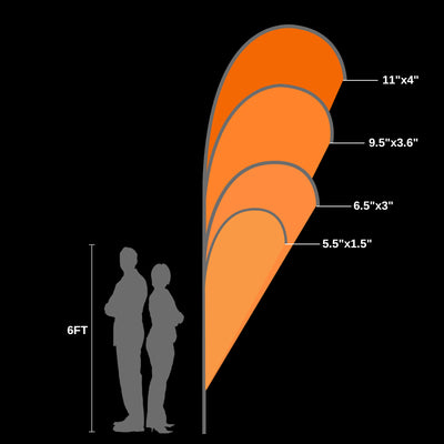 SHAPE 2