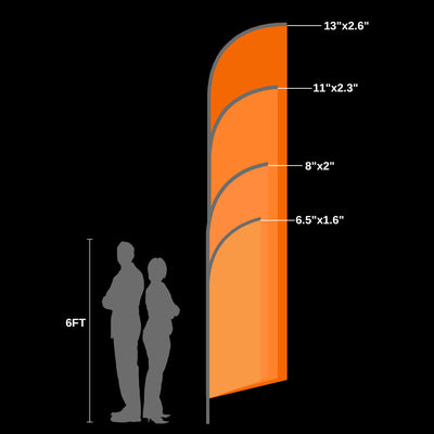 SHAPE 1
